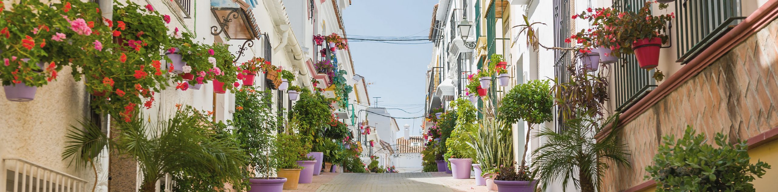 Nockolds Lawyers Spain